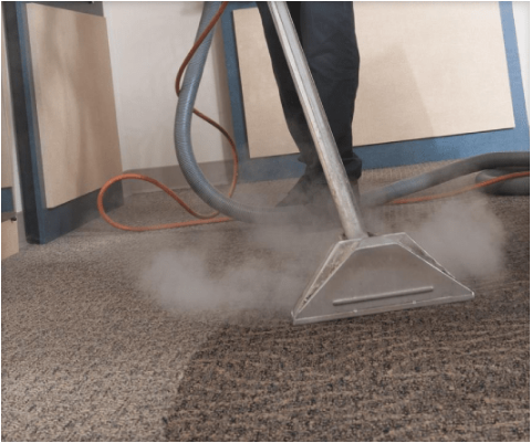Professional Carpet Cleaning Mitchell Park
