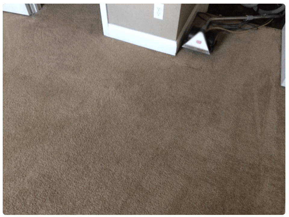 Same Day Service In Carpet Cleaning